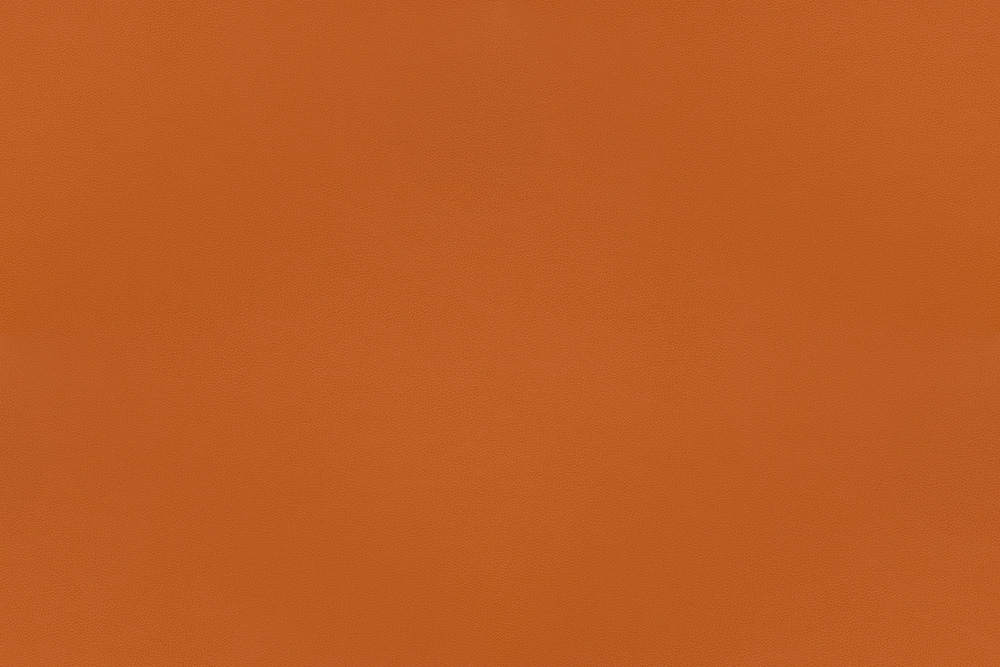 Orange - 41587