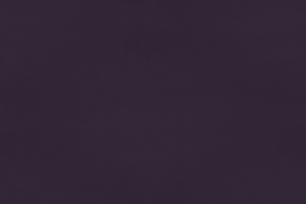 Purple - 41593