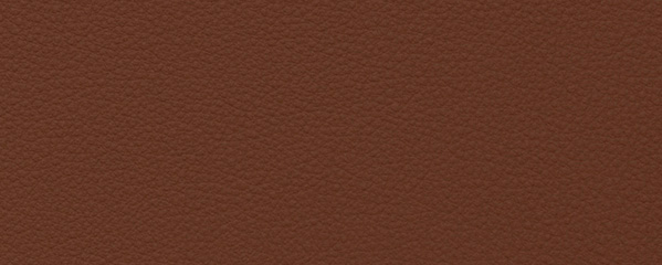 Semi-Aniline leather